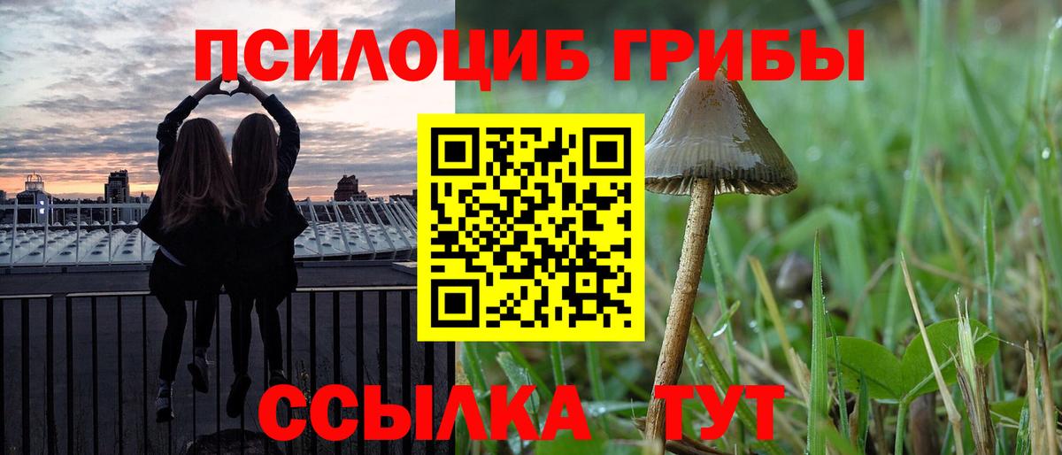 Карачаевск  Псилоцибиновые грибы MAGIC MUSHROOMS  Вход с VPN  Псилоцибиновые грибы мухоморы 